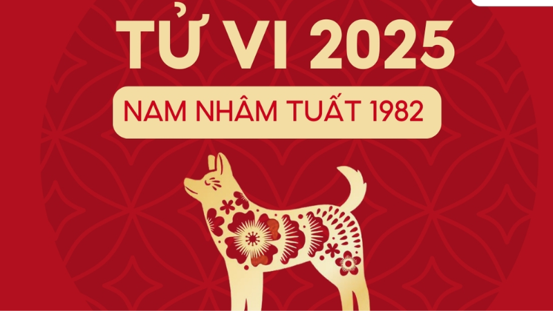 Sự nghiệp nữ Nhâm Tuất 1982 năm 2023 với cơ hội thăng tiến và phát triển vượt bậc
